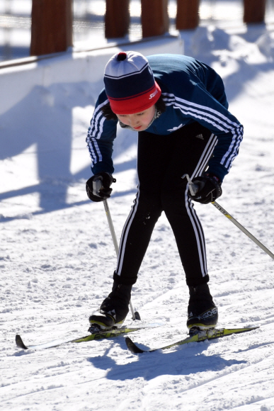 13일 강원도 알펜시아 리조트 크로스컨트리 경기장에서 선수들이 훈련을 하고 있다. 2017.12.13 박지환기자 popocar@seoul.co.kr