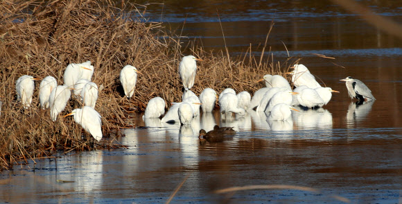 햇볕에 옹기종기