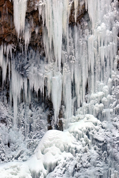 한파가 빚은 풍경