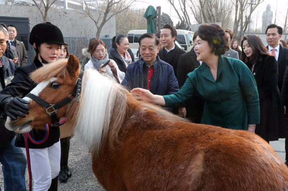 김정숙 여사가 14일(현지시간) 중국 베이징시 통주취  한메이린 예술관을 찾아 한 작가(왼쪽)와 함께 그림의 소재가 됐던 말을 쓰다듬고 있다. 2017. 12. 14 베이징=안주영 기자 jya@seoul.co.kr