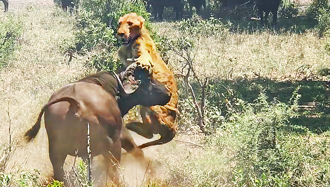 유튜브 영상 캡처
