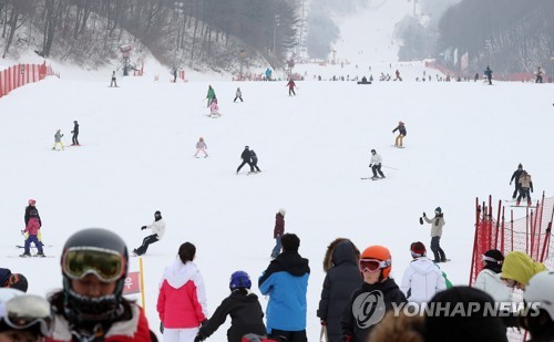 스키장 자료사진 사고현장과 관련없음