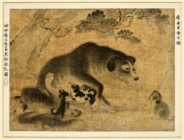 조선 후기 화가 김두량이 그렸다고 전해지는 ‘모견도’. 개는 모성의 상징으로도 여겨지는데, 그림에서도 새끼에 대한 어미 개의 극진한 사랑이 잘 표현됐다. 국립민속박물관 제공