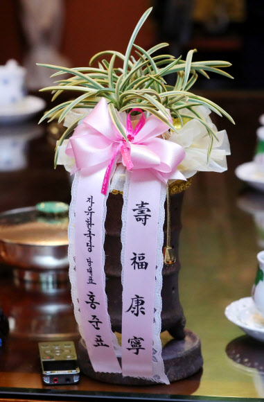 자유한국당 홍준표 대표와  김성태 원내대표 등 당 관계자들과 3일 서울 중구 김종필 전 국무총리 자택을 예방했다. 사진은 홍 대표가 김 전 총리에게 선물한 난. 연합뉴스