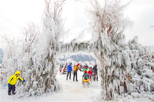 2년 전 인제 빙어축제장에 마련된 얼음터널을 지나며 관광객들이 즐거워하고 있다.