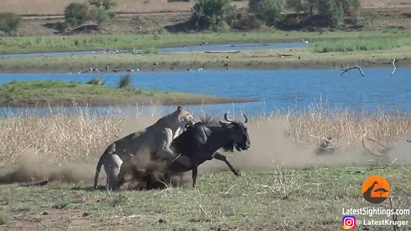 유튜브 영상 캡처