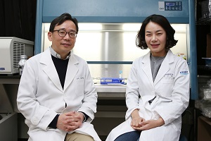 카이스트 의과학대학원 신의철(왼쪽), 정민경 교수 카이스트 제공