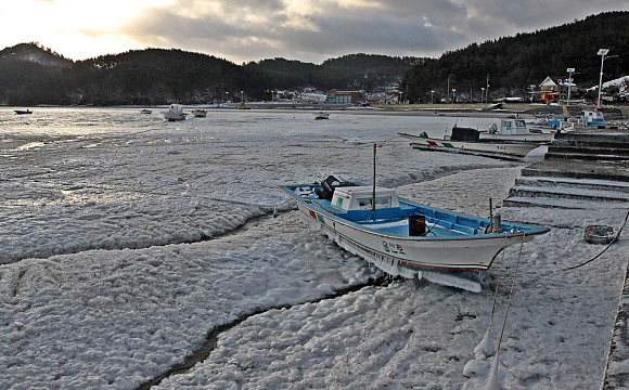 얼어붙은 선박…서해 가로림만 결빙