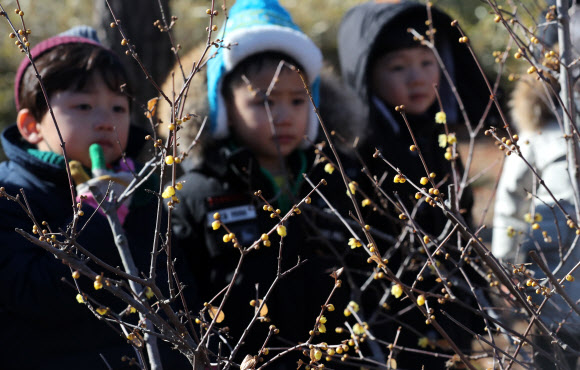 최강 한파 속에도 피는 꽃