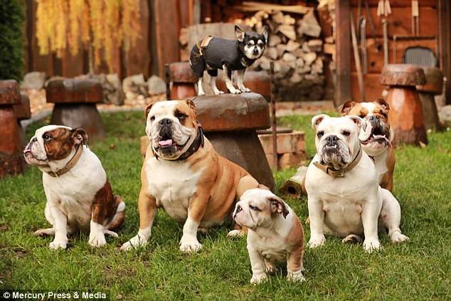 불독 분대(Bulldog Squad)의 위엄스런 모습(사진출처:Mercury Press & Media) 