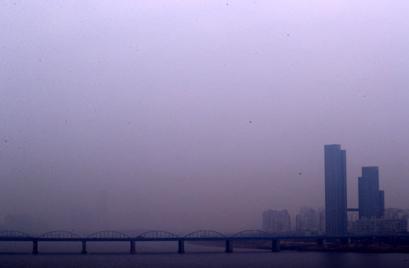 ’무엇이 보이나요?’