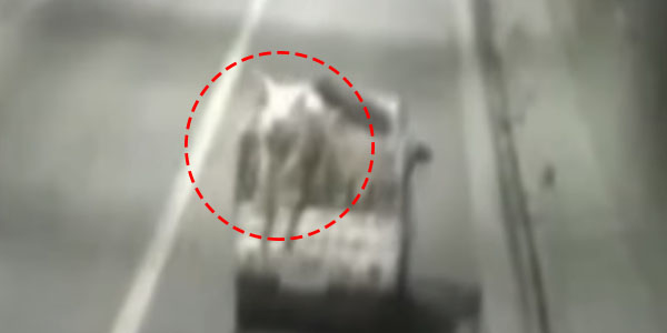 유튜브 영상 캡처