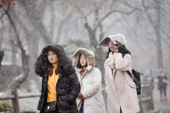 22일 서울에 많은 눈이 내린 가운데 서울 남산에서 시민들이 눈을 맞으며 걷고 있다. 2018. 1. 22 정연호 기자 tpgod@seoul.co.kr