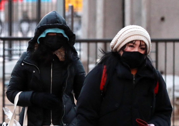 ’여기 북극인가요?’