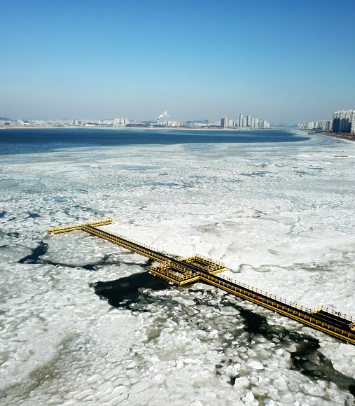 북극 한파의 습격