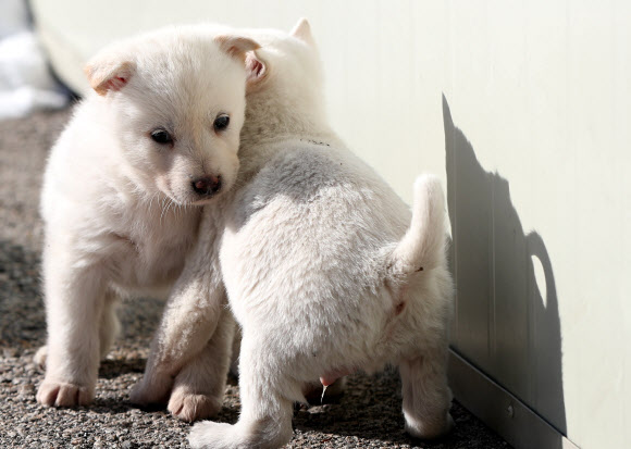 추우면 붙어야지