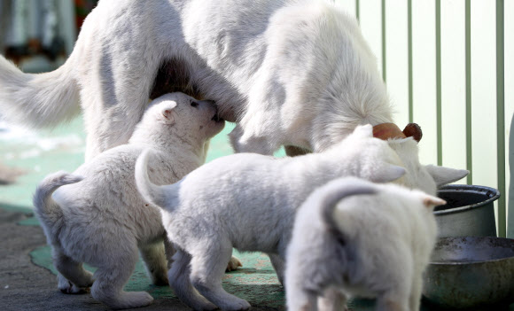 엄마 품이 최고야