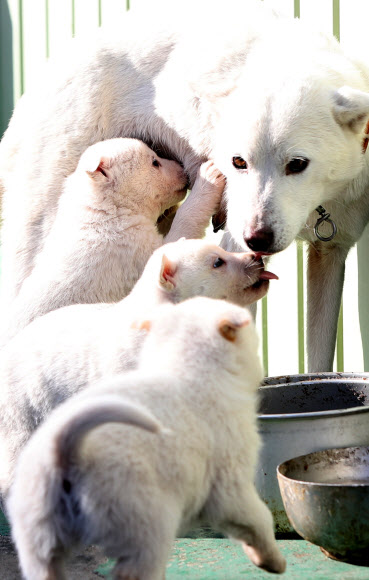 엄마 품이 최고야