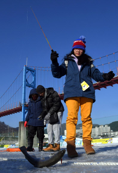 지난 27일 강원 화천군 화천읍 화천천에서 열린 산천어축제를 찾은 관광객이 산천어를 잡고 포즈를 취하고 있다. 화천군 제공=연합뉴스