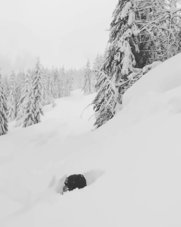 유튜브 영상 캡처