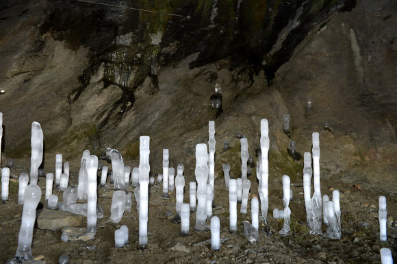 신기한 역고드름