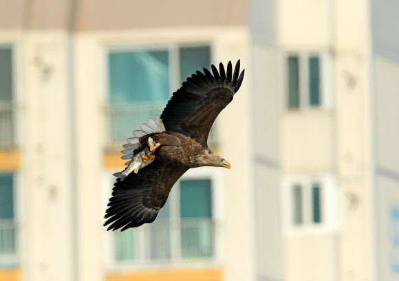 아파트에 살지 않아요