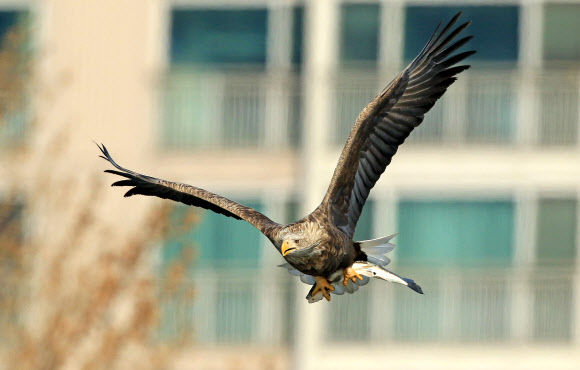 아파트에 살지 않아요