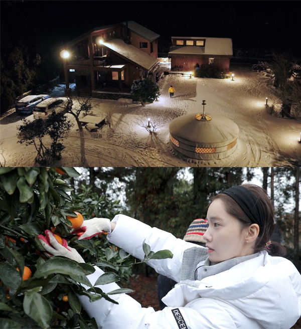 효리네 민박2 윤아  