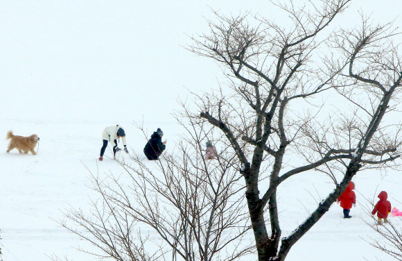 어른, 아이, 강아지도 즐거운 눈세상