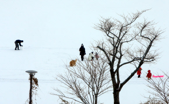 어른, 아이, 강아지도 즐거운 눈세상