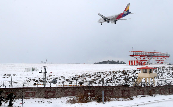 제주공항 착륙하는 항공기