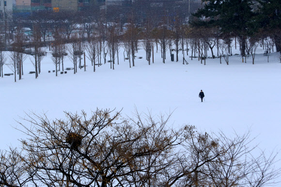눈 쌓인 출근길