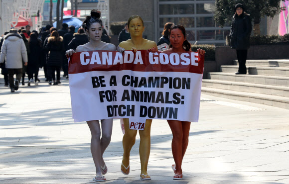 국제동물권리단체 페타(PETA) 회원들이 평창올림픽 개막을 앞둔 8일 오후 서울 중구 을지로 입구에서 금은동메달을 상징하는 바디페인팅을 한 채 ’캐나다구스 다운 판매를 중지하고 동물들의 챔피언이 되어주세요’ 문구가 적힌 배너를 들고 동물권리보호활동을 펼치고 있다.  연합뉴스