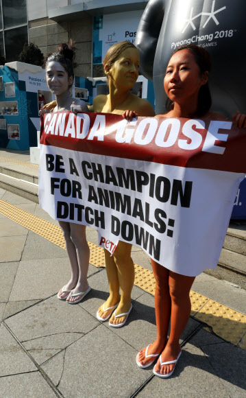 국제동물권리단체 페타(PETA) 회원들이 평창올림픽 개막을 앞둔 8일 오후 서울 중구 을지로 입구에서 금은동메달을 상징하는 바디페인팅을 한 채 ’캐나다구스 다운 판매를 중지하고 동물들의 챔피언이 되어주세요’ 문구가 적힌 배너를 들고 동물권리보호활동을 펼치고 있다. 연합뉴스
