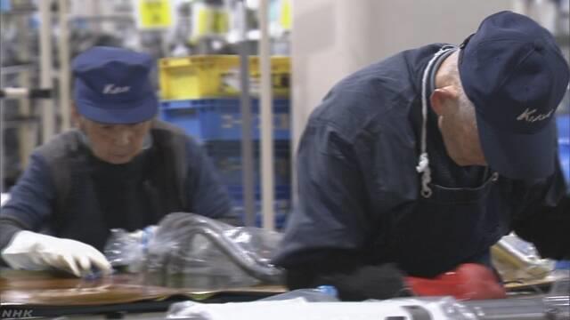 젊은 일손을 찾지 못한 일본 중소제조업체에서 일하는 노인 직원들.