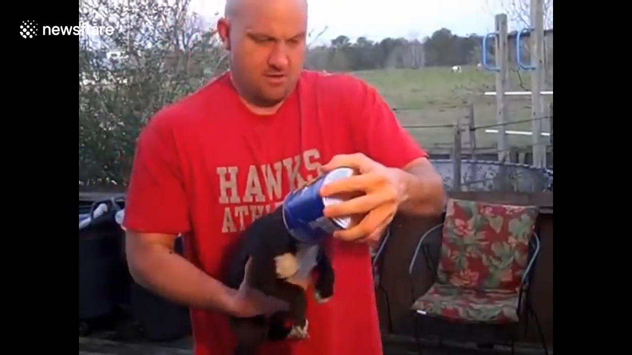 유튜브 영상 캡처