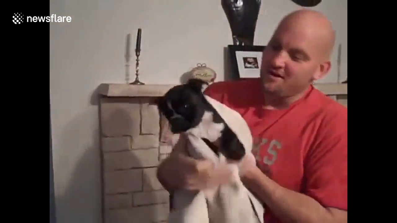 유튜브 영상 캡처