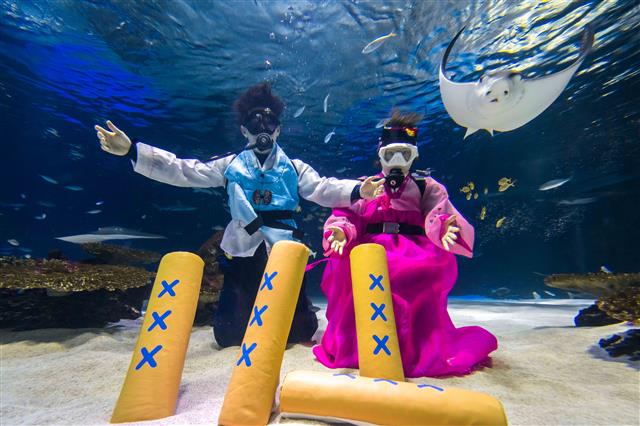 12일 한화호텔앤드리조트가 운영하는 서울 영등포구 한화 아쿠아플라넷63에서 민족의 명절 설을 맞아 한복을 곱게 차려 입은 아쿠아리스트가 대형 윷놀이를 하고 있다.  뉴스1