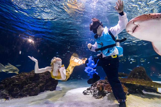 12일 한화호텔앤드리조트가 운영하는 서울 영등포구 한화 아쿠아플라넷63에서 민족의 명절 설을 맞아 한복을 곱게 차려 입은 아쿠아리스트가 제기차기를 하고 있다.  뉴스1