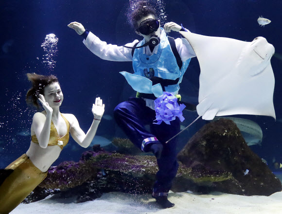 설 연휴를 사흘 앞둔 12일 오전 서울 여의도 한화 아쿠아플라넷63 대형 수족관에서 한복을 입은 아쿠아리스트와 인어가 제기차기를 하고 있다. 한화 아쿠아플라넷63은 설 당일인 16일 한복을 착용한 고객에게 63종합권을 무료로 제공한다. 또 설 연휴기간 동안 메인수조 특별 공연으로 수중 한복쇼를 진행하며 다양한 민속놀이와 포춘쿠키 이벤트를 진행한다.  연합뉴스