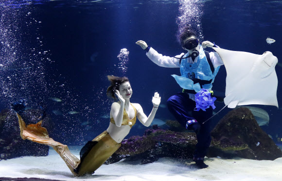 설 연휴를 사흘 앞둔 12일 오전 서울 여의도 한화 아쿠아플라넷63 대형 수족관에서 한복을 입은 아쿠아리스트와 인어가 제기차기를 하고 있다. 한화 아쿠아플라넷63은 설 당일인 16일 한복을 착용한 고객에게 63종합권을 무료로 제공한다. 또 설 연휴기간 동안 메인수조 특별 공연으로 수중 한복쇼를 진행하며 다양한 민속놀이와 포춘쿠키 이벤트를 진행한다.  연합뉴스