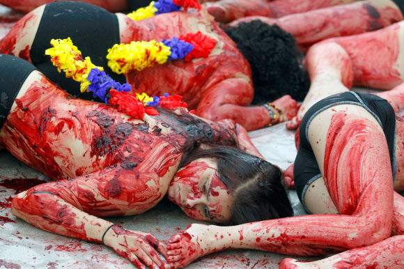 11일(현지시간) 콜롬비아 메델린에서 동물 인권 운동가들이 투우 경기 폐지를 주장하며 온 몸에 가짜 피를 뿌린채 반라로 퍼포먼스 시위를 벌이고 있다. 로이터 연합뉴스