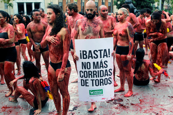 11일(현지시간) 콜롬비아 메델린에서 동물 인권 운동가들이 투우 경기 폐지를 주장하며 온 몸에 가짜 피를 뿌린채 반라로 퍼포먼스 시위를 벌이고 있다. 로이터 연합뉴스