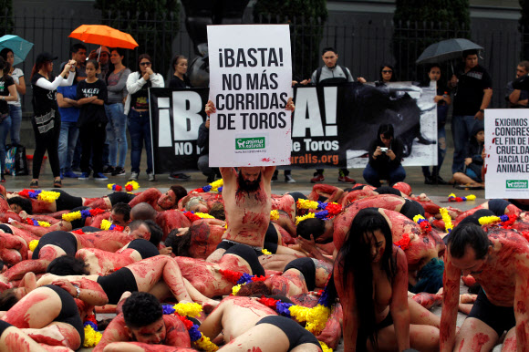 11일(현지시간) 콜롬비아 메델린에서 동물 인권 운동가들이 투우 경기 폐지를 주장하며 온 몸에 가짜 피를 뿌린채 반라로 퍼포먼스 시위를 벌이고 있다. 로이터 연합뉴스