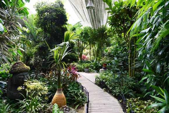 베어트리파크의 열대식물원.
