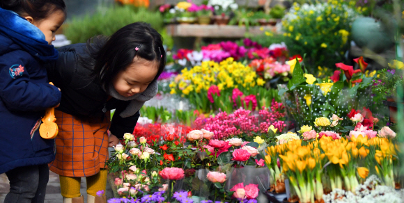 절기상 겨우내 얼었던 얼음이 녹는다는 우수인 19일 서울 양재동 꽃시장을 찾은 어린이가 꽃냄새를 맡아보고 있다. 2018. 2. 19. 박윤슬 기자 seul@seoul.co.kr