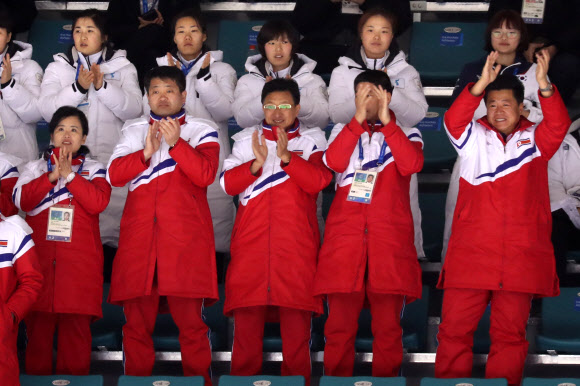 단일팀 동점골에 기립박수하는 북측 선수단