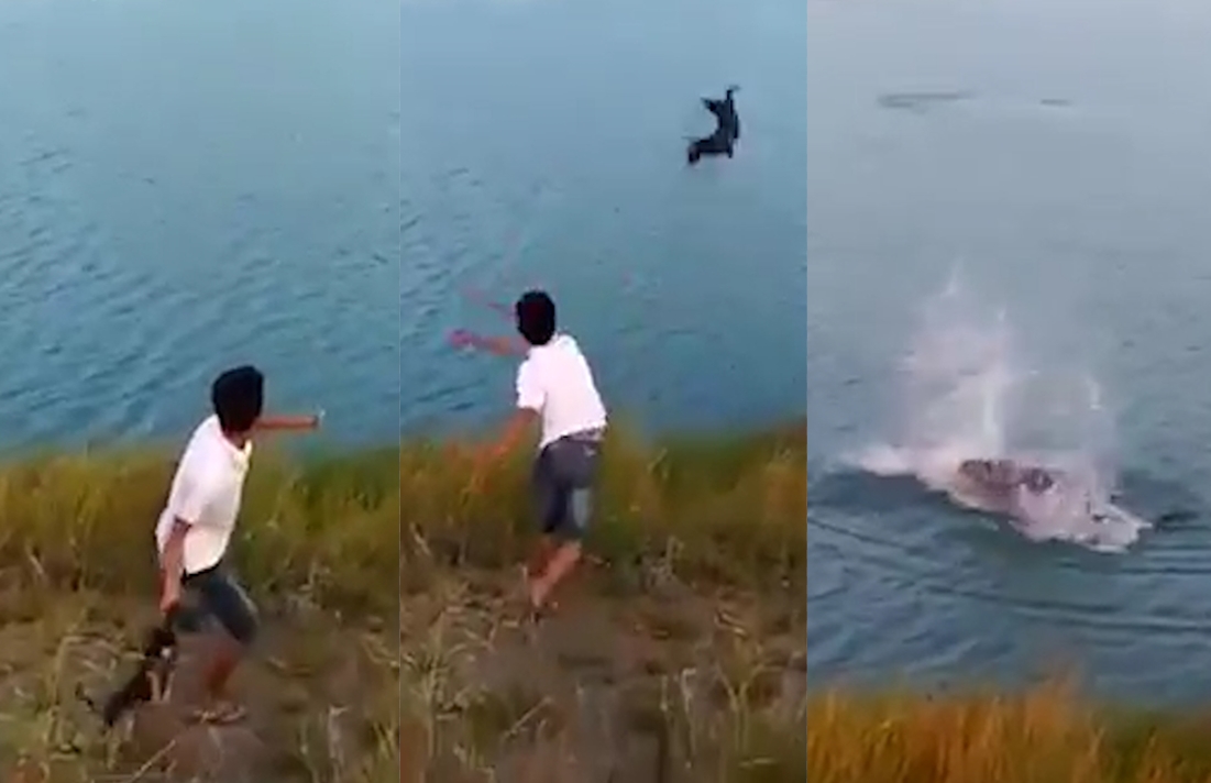 살아있는 강아지를 악어가 있는 호수로 던진 몰지각한 인도네시아 소년(유튜브 영상 캡처)