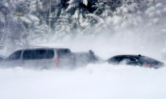 1일 강원 평창군 대관령 일원에 40m가 넘는 폭설이 내린 가운데 옛 영동고속도로 대관령 휴게소에 앞이 보이지 않을 정도의 거센 눈보라가 몰아치고 있다.  연합뉴스