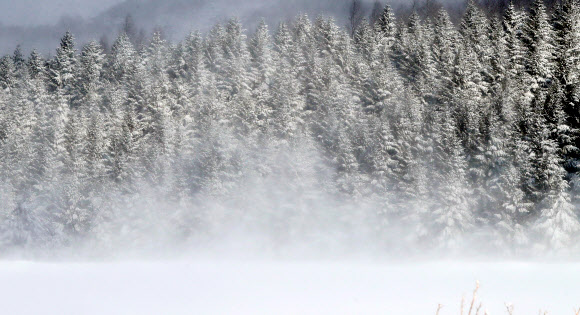 1일 강원 평창군 대관령 일원에 40m가 넘는 폭설이 내린 가운데 대관령 일원에 앞이 보이지 않을 정도의 거센 눈보라가 몰아치고 있다.  연합뉴스